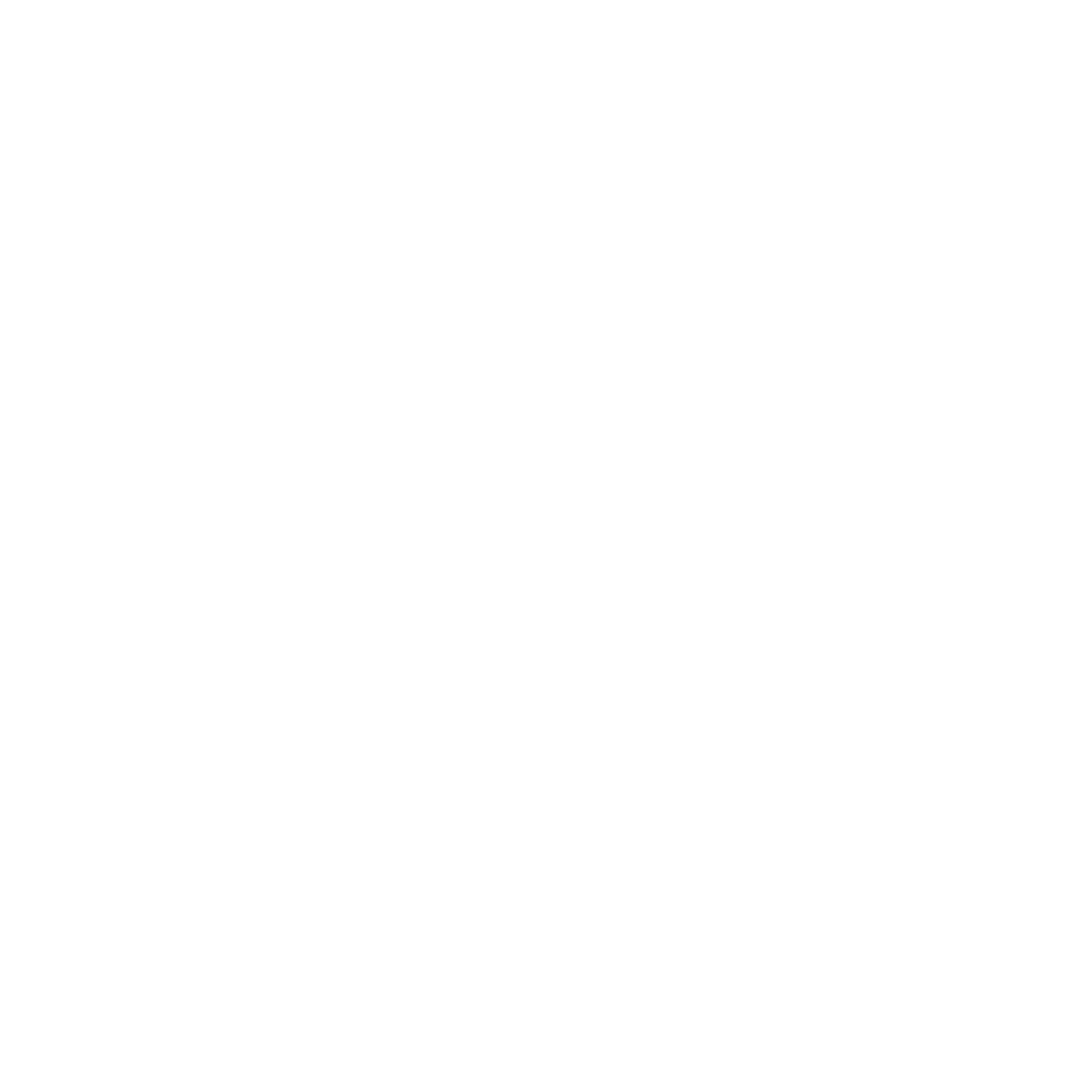 Mt Trans Logo